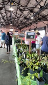 Cover photo for Master Gardener Fall Plant Sale