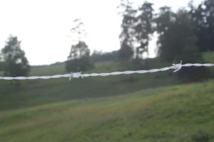 Cover photo for Fencing School - June 4