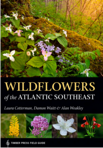 Wildflowers of the Atlantic Sutheast