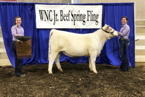 Cover photo for Western NC Spring Fling