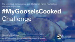 banner with a cooked goose and text The Livestock Conservancy and D'Artagnan Farms Foundation invite you to join the #MyGooseIsCooked challenge