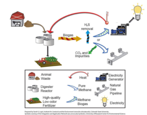 Cover photo for Anaerobic Digester Systems for NC Farms