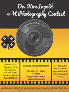graphic of a camera lens advertising state photo contest