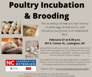 Cover photo for Poultry Incubation & Brooding Workshop