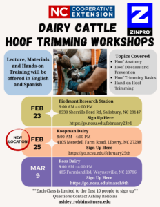 Cover photo for Dairy Cattle Hoof Trimming Workshops
